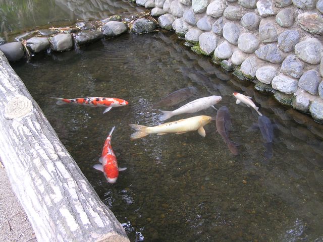 f0130894_2131347.jpg