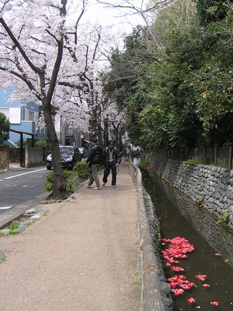 f0130894_21322534.jpg