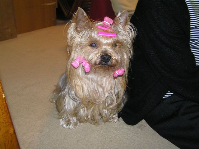 f0130894_21414675.jpg