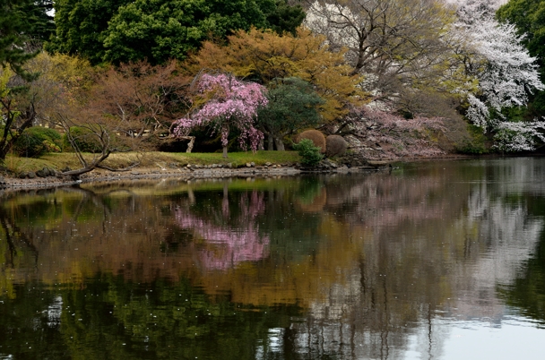 f0233999_13135752.jpg