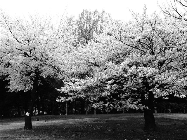 f0224100_2147954.jpg