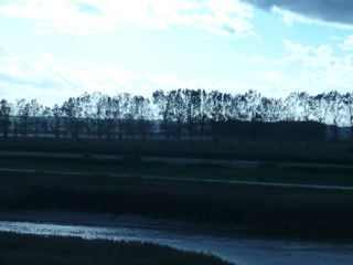 c0203401_9141430.jpg