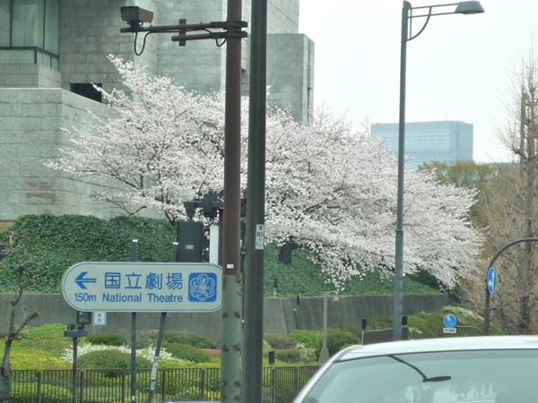 d0057701_13405156.jpg