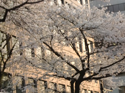 a0134004_838862.jpg