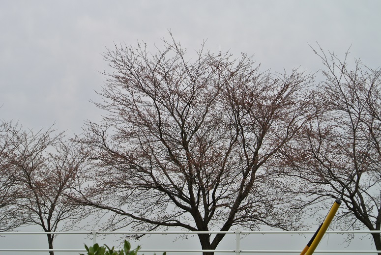 f0179209_1358085.jpg