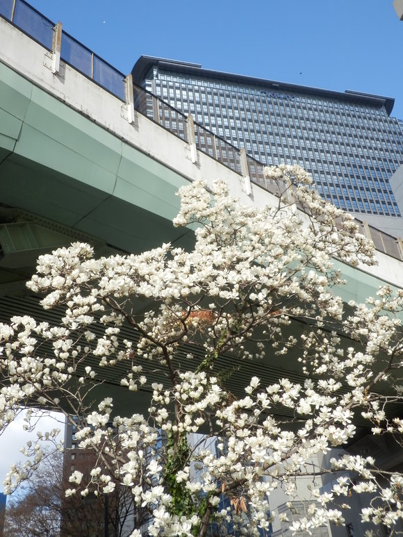c0062511_6203945.jpg