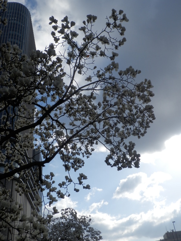 c0062511_6222434.jpg