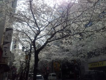 c0162212_1871279.jpg