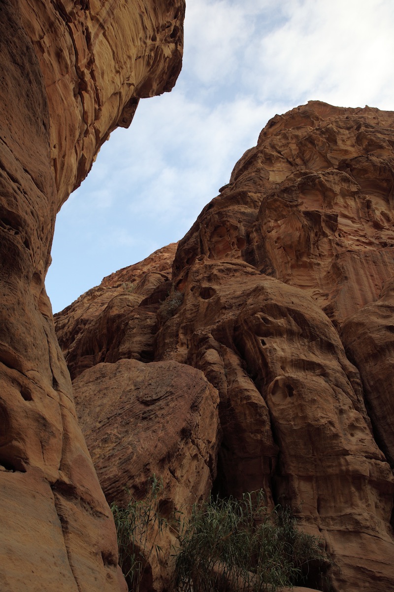 c0249519_51960.jpg
