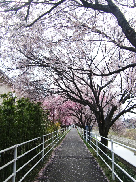 c0220724_22233024.jpg