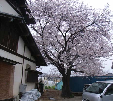 c0095731_2034738.jpg