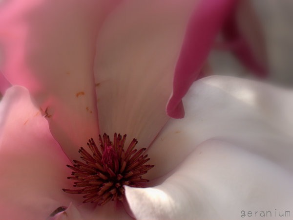 c0133533_20405613.jpg