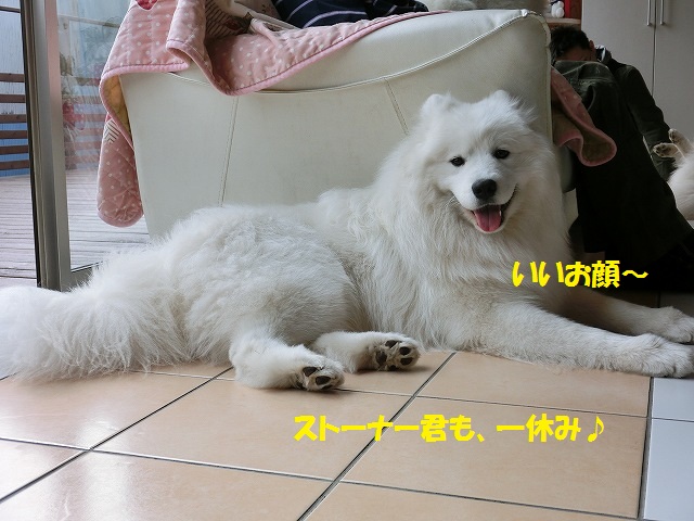 e0196135_22102361.jpg