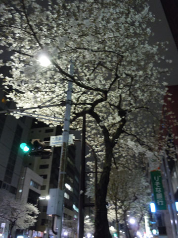 c0039736_16265170.jpg