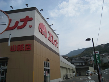 c0077338_6244975.jpg