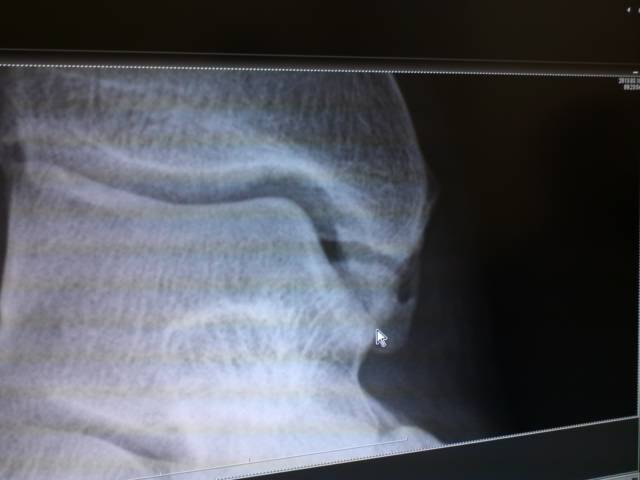 d0107938_131981.jpg