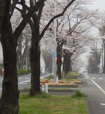 a0142343_1171376.jpg