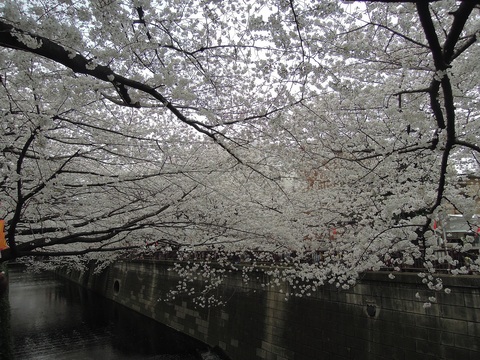 a0200943_0145880.jpg