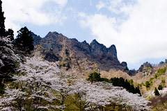 e0150849_19512563.jpg