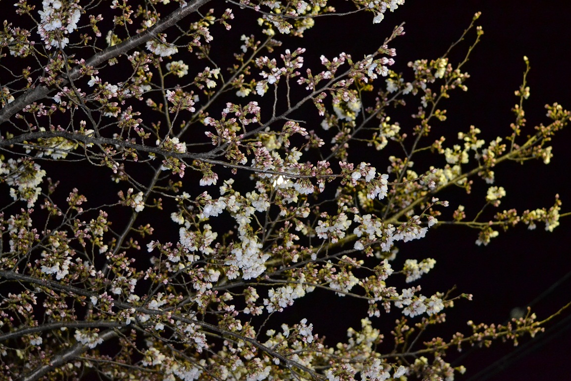 a0055650_22532290.jpg