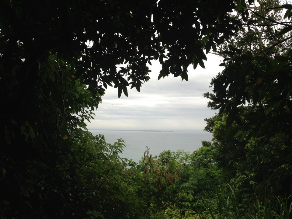 b0002156_10181069.jpg