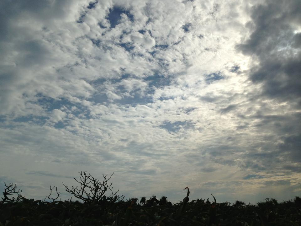b0002156_10223917.jpg