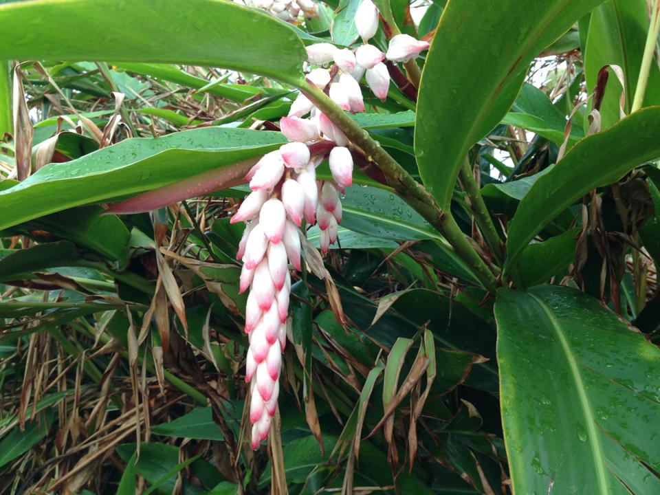 b0002156_10241950.jpg