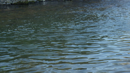 c0211357_17471197.jpg