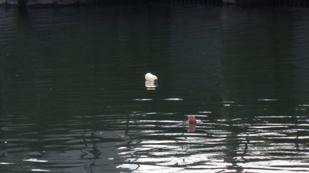 c0211357_17493875.jpg