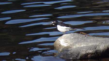 c0211357_1752168.jpg