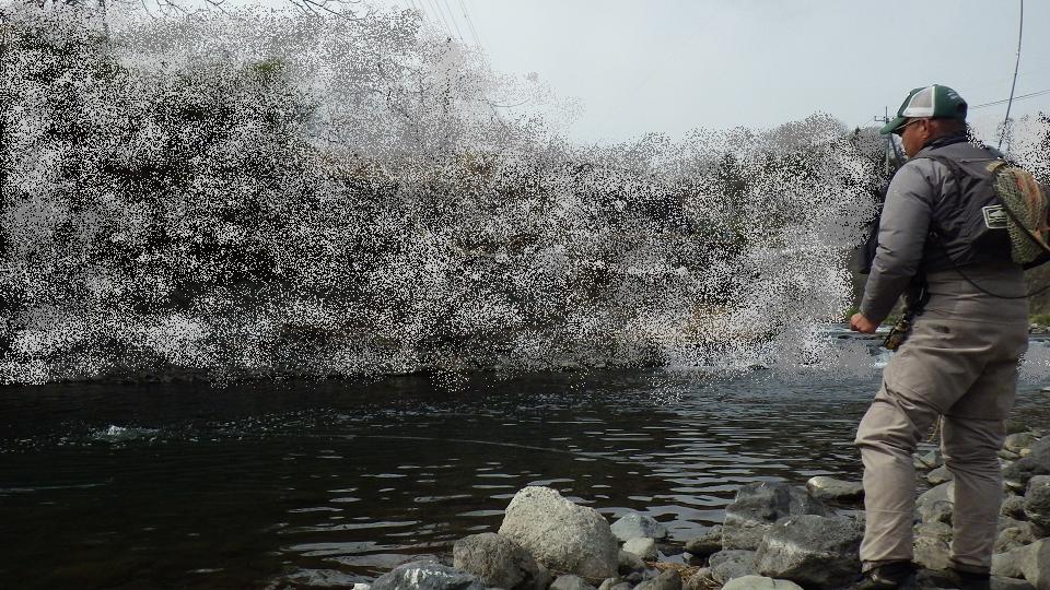 c0211357_17523582.jpg