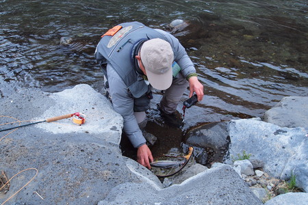 c0211357_17575560.jpg
