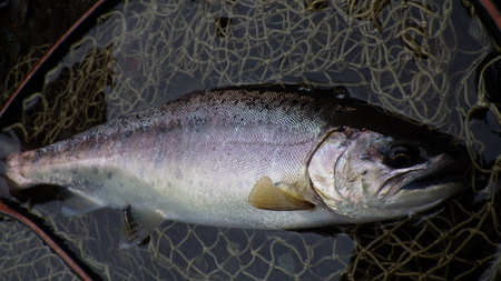 c0211357_1759990.jpg