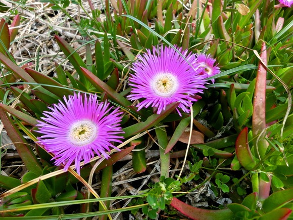 f0201157_203628.jpg