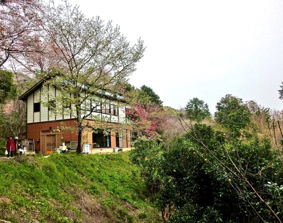 f0201157_2052826.jpg