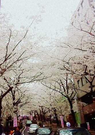 c0097558_1648534.jpg