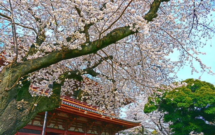 a0150260_2225178.jpg
