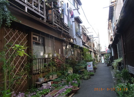 b0075364_18501171.jpg