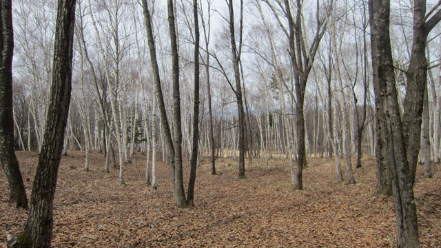 b0091164_14274935.jpg