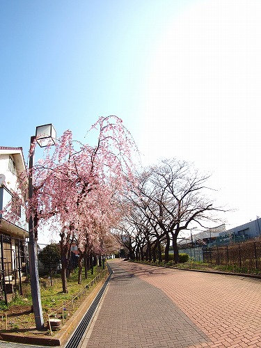 b0180764_0222940.jpg