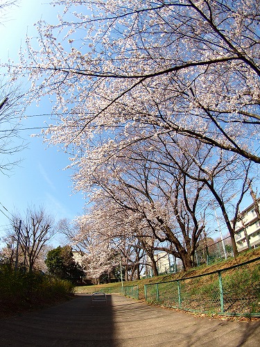 b0180764_03008.jpg