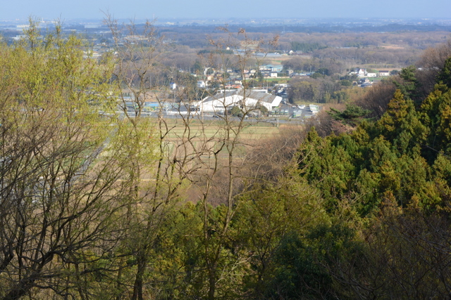 a0212365_211575.jpg