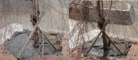 d0152765_22114243.png