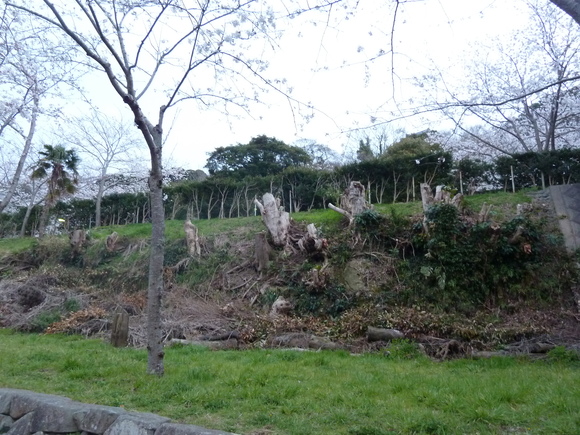 e0278968_2333715.jpg