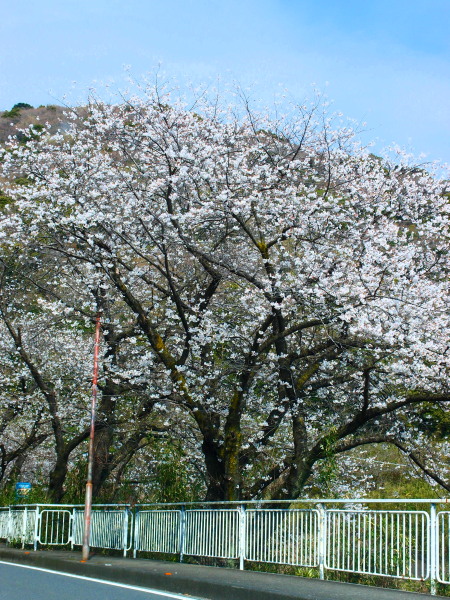 c0122670_0132433.jpg