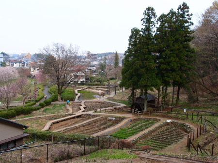 c0122670_237278.jpg