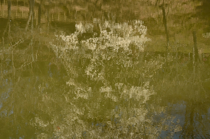 f0108478_22111653.jpg