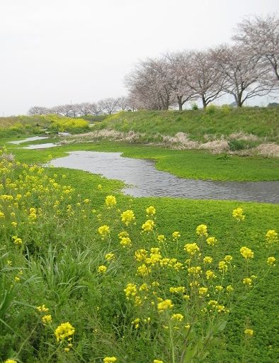 c0221281_12532611.jpg