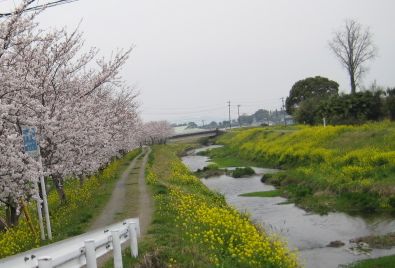 c0221281_12543773.jpg
