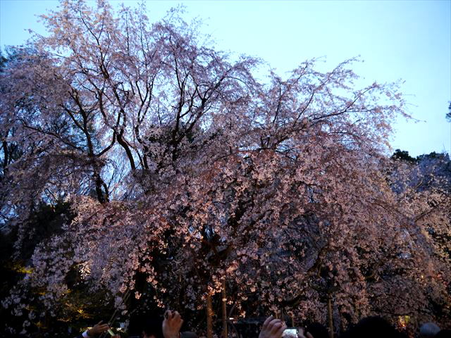 f0167281_22221421.jpg